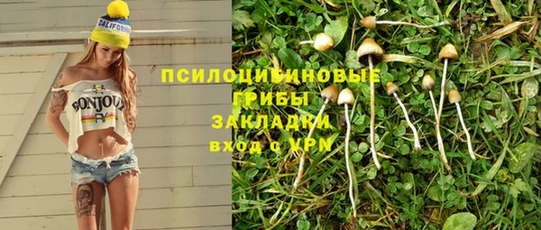 гидропоника Аркадак
