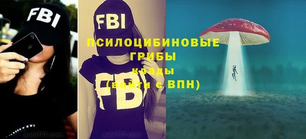 метамфетамин Богородицк