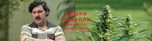гидропоника Аркадак