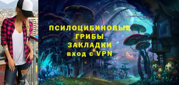 apvp Арсеньев