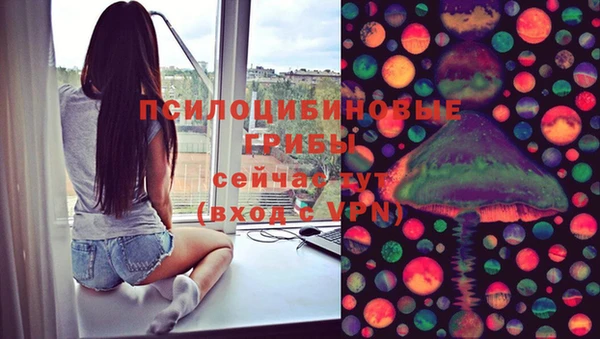мяу мяу кристалл Богданович